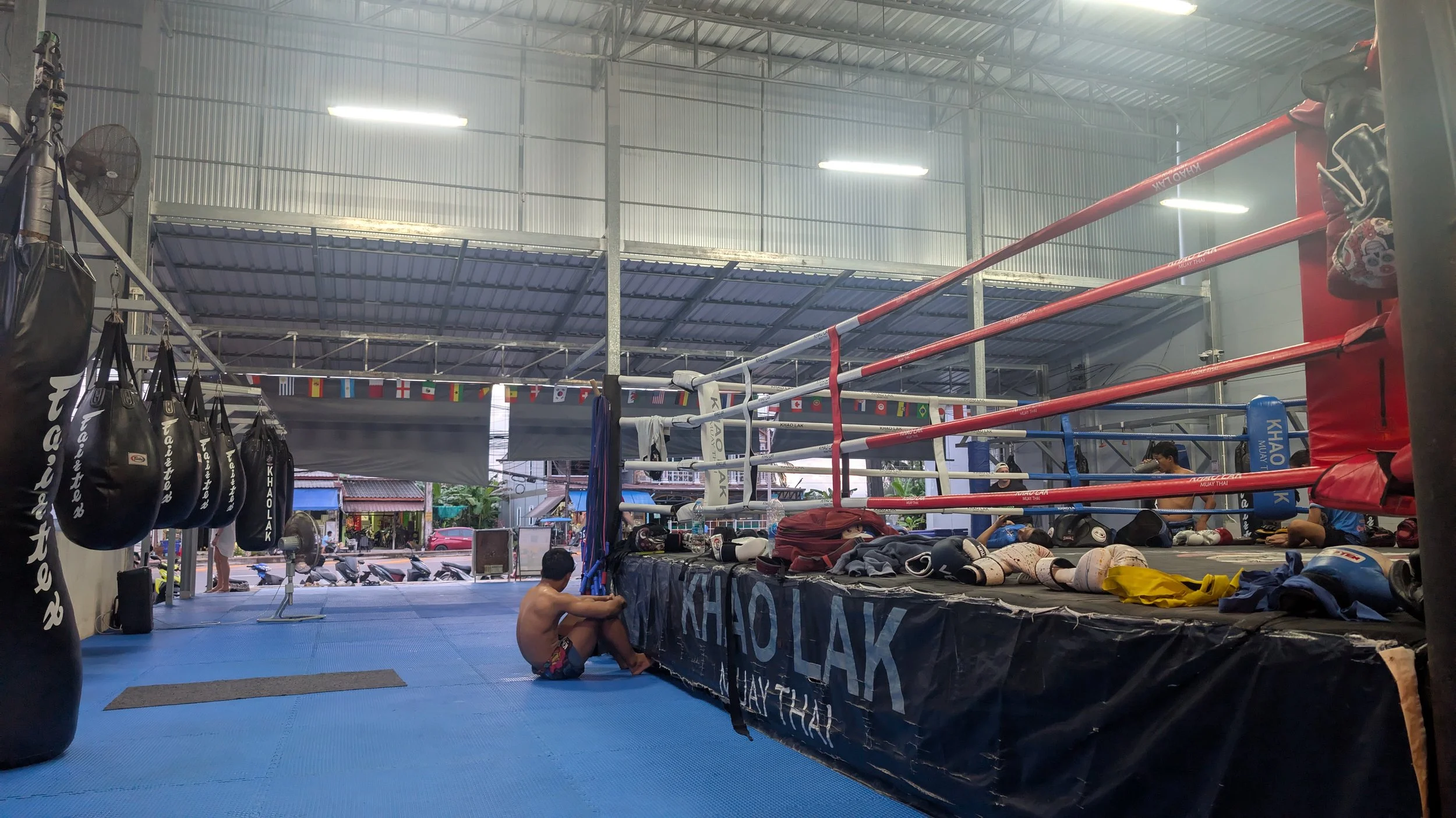 A Professor’s Journey into Muay Thai and Grief