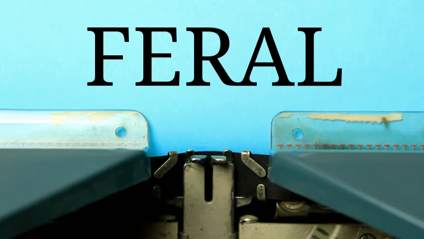 feral.jpg