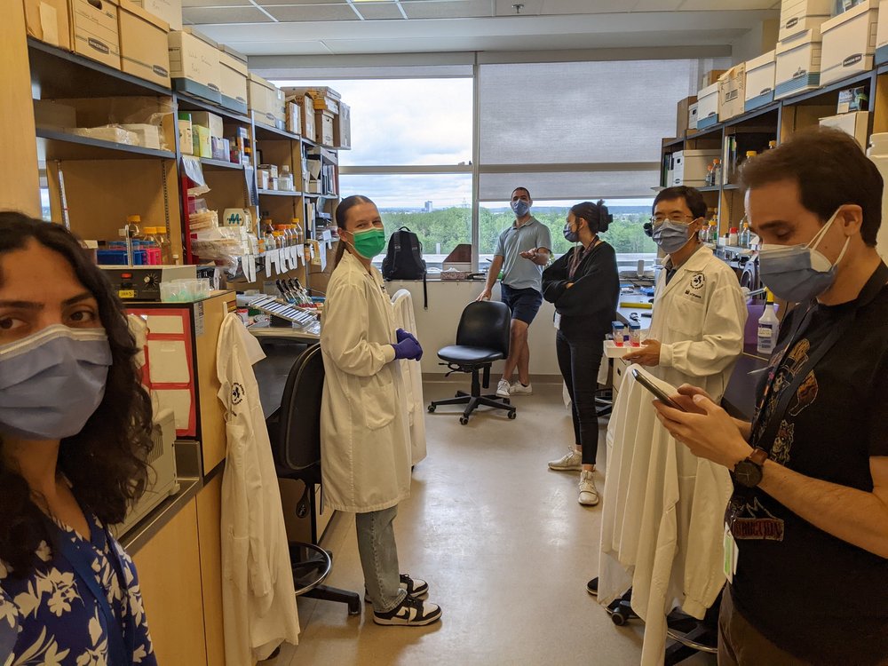 Gallery — Rudnicki Lab