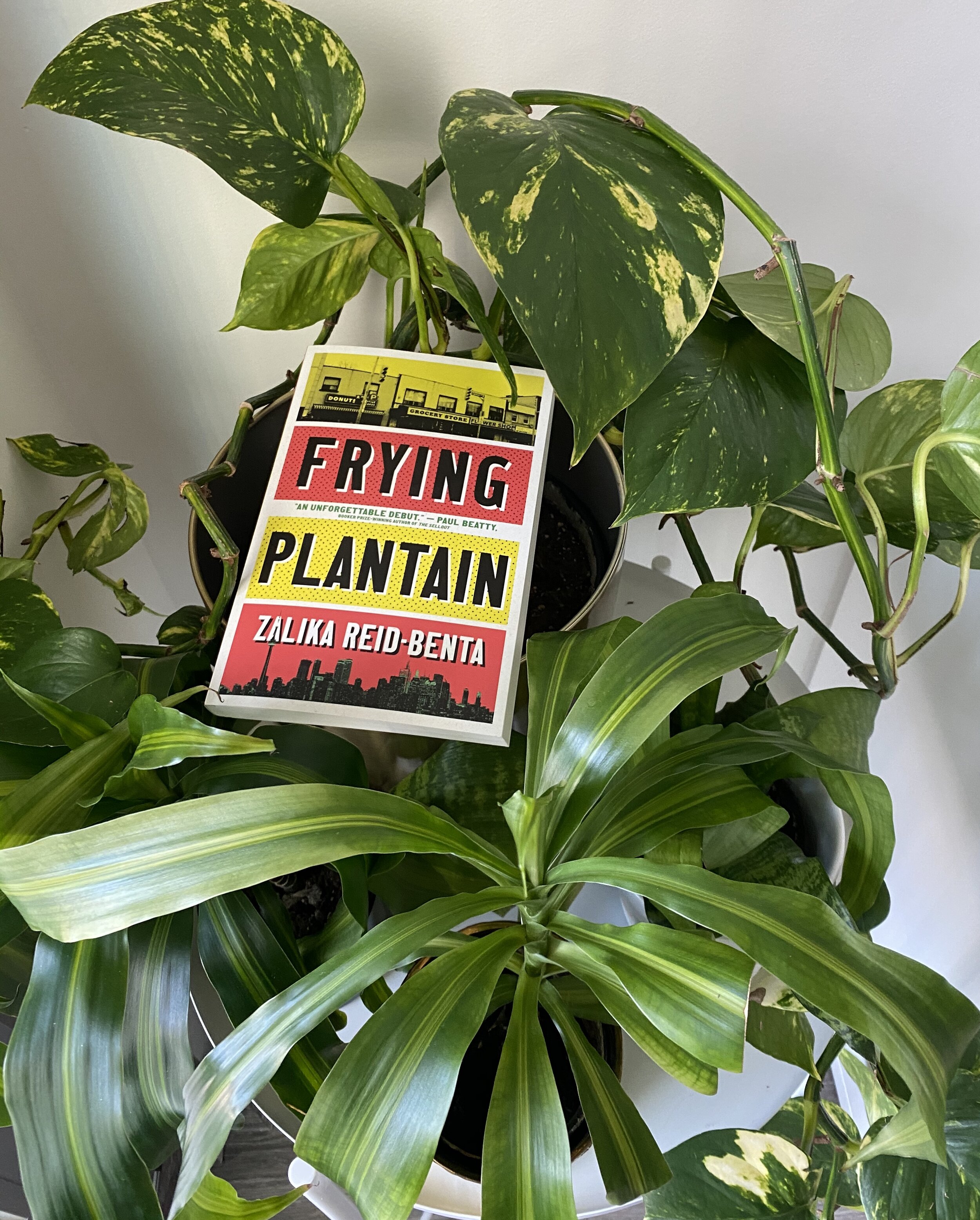 Book Review | FRYING PLANTAINS | Zalika Reid-Benta