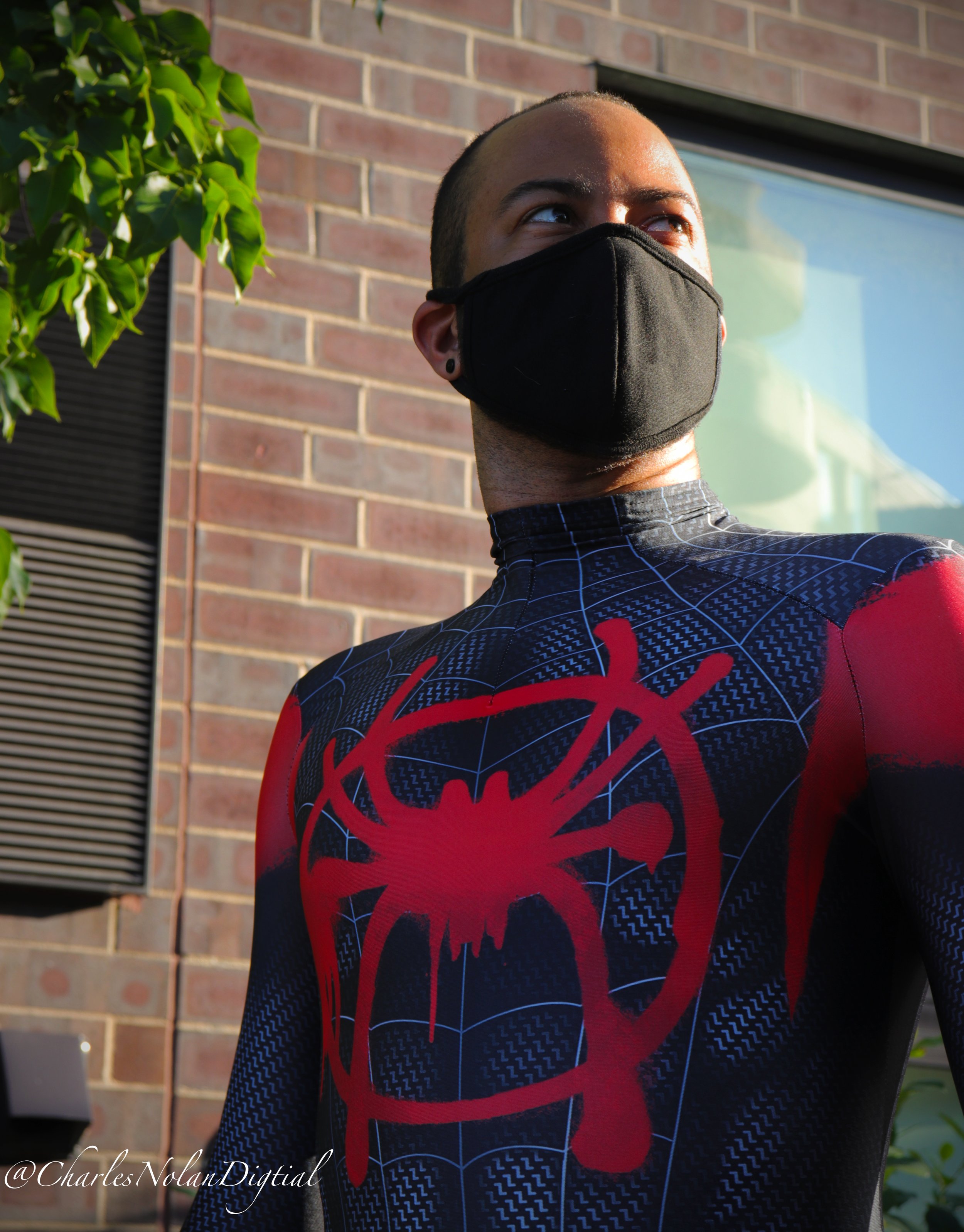DevonSpiderman18.jpg