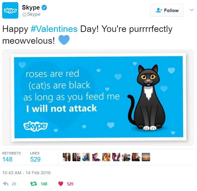 Skype Vday Cat.JPG