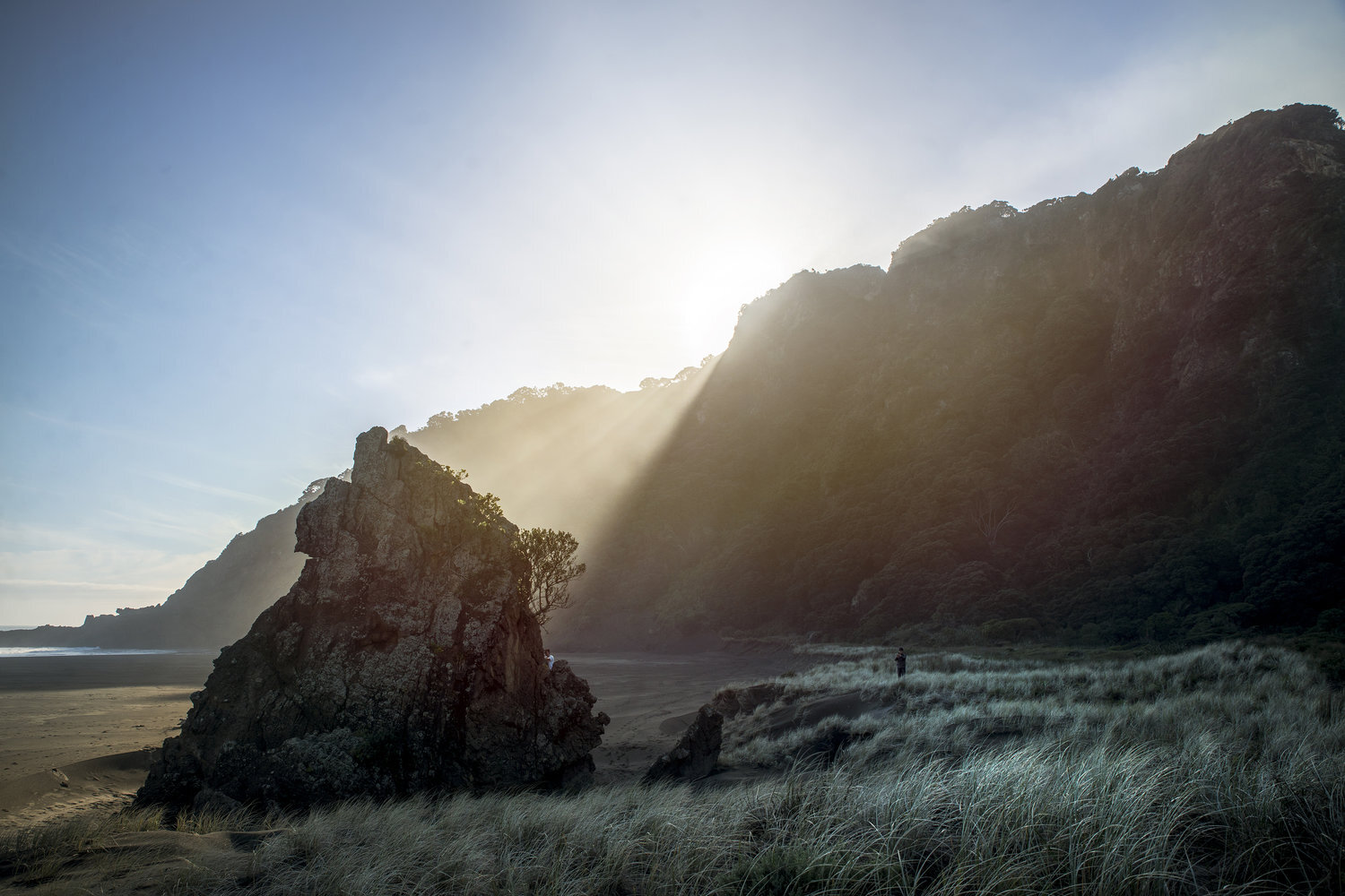 DSC07361_SMALL (1).jpeg