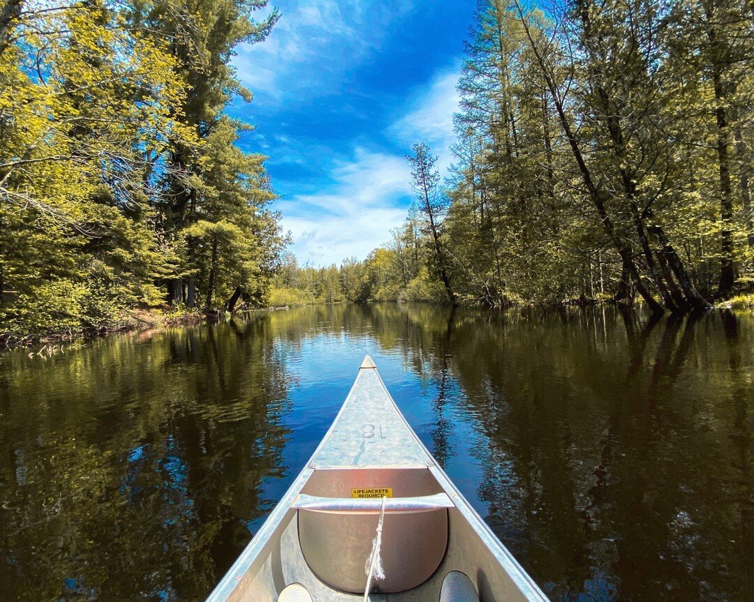 &bull; Labor Day Weekend here at Campbell&rsquo;s 🛶🌳🍂☀️🛟​​​​​​​​
​​​​​​​​
&bull; Hope to see you all on the river!! ​​​​​​​​
​​​​​​​​
​​​​​​​​
​​​​​​​​
​​​​​​​​
​​​​​​​​
​​​​​​​​
​​​​​​​​
​​​​​​​​
​​​​​​​​
​​​​​​​​
​​​​​​​​
​​​​​​​​
​​​​​​​​
​​​​