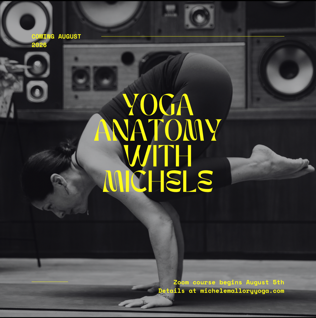 Yoga Anatomy with Michele Mallory begins August 5 on Zoom