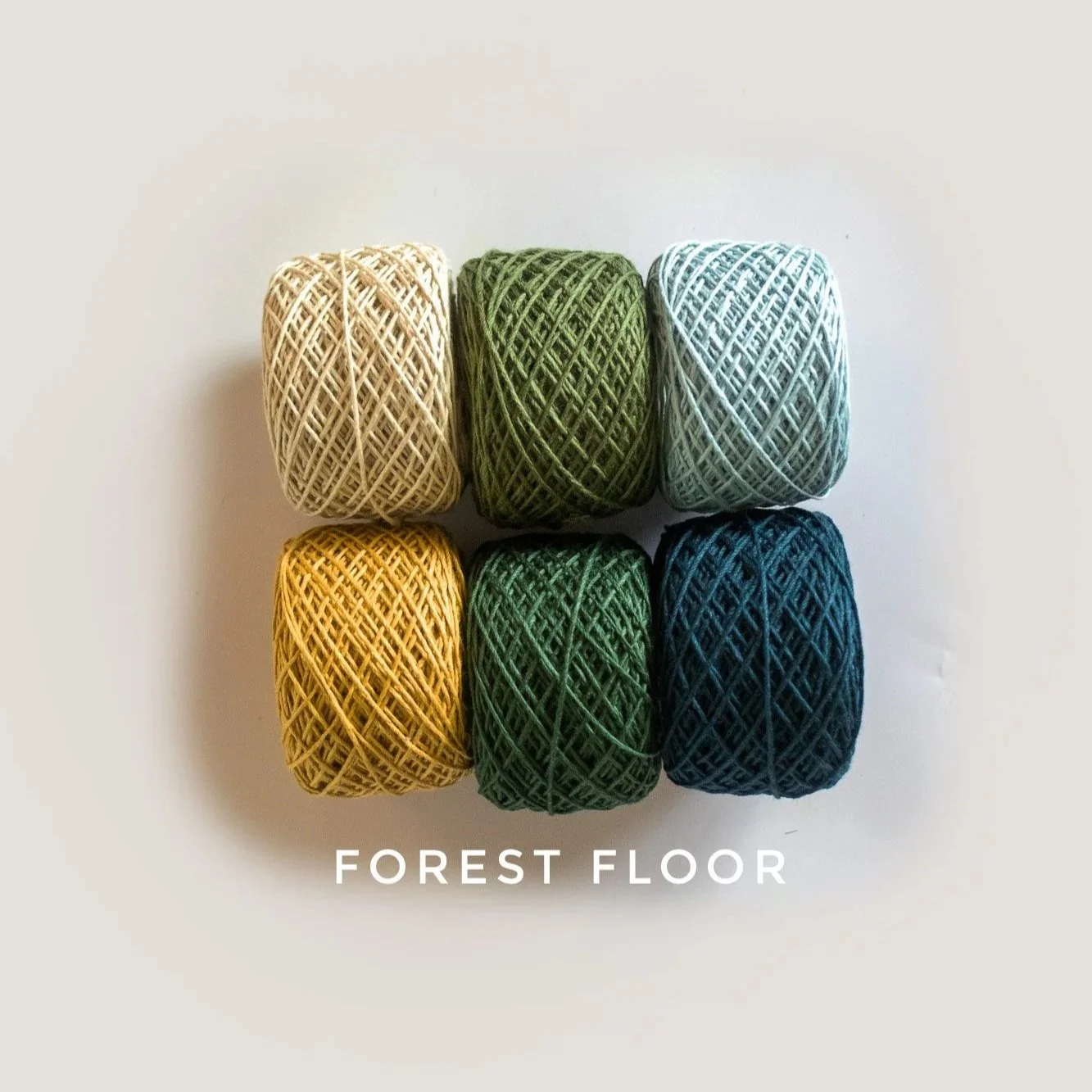 FOREST.jpg