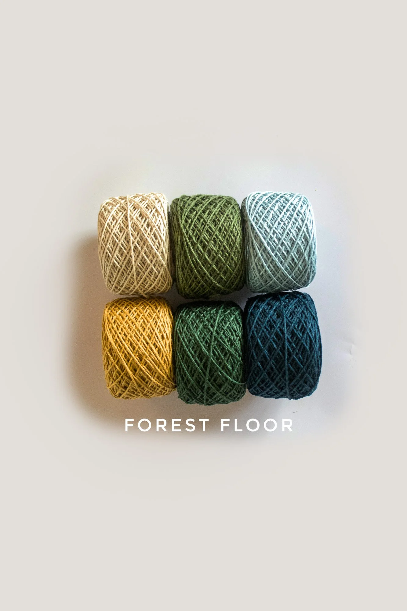 FOREST.jpg