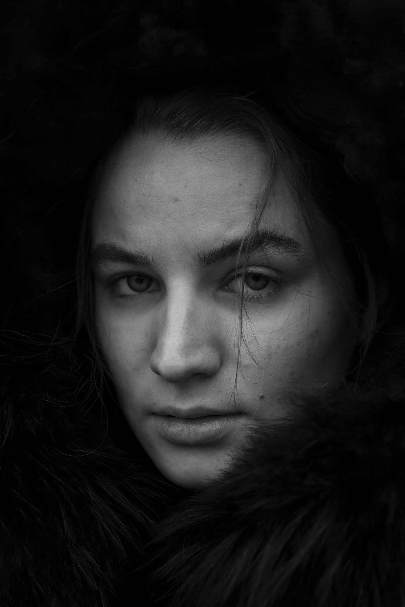 ALCE duplicate_low.jpg