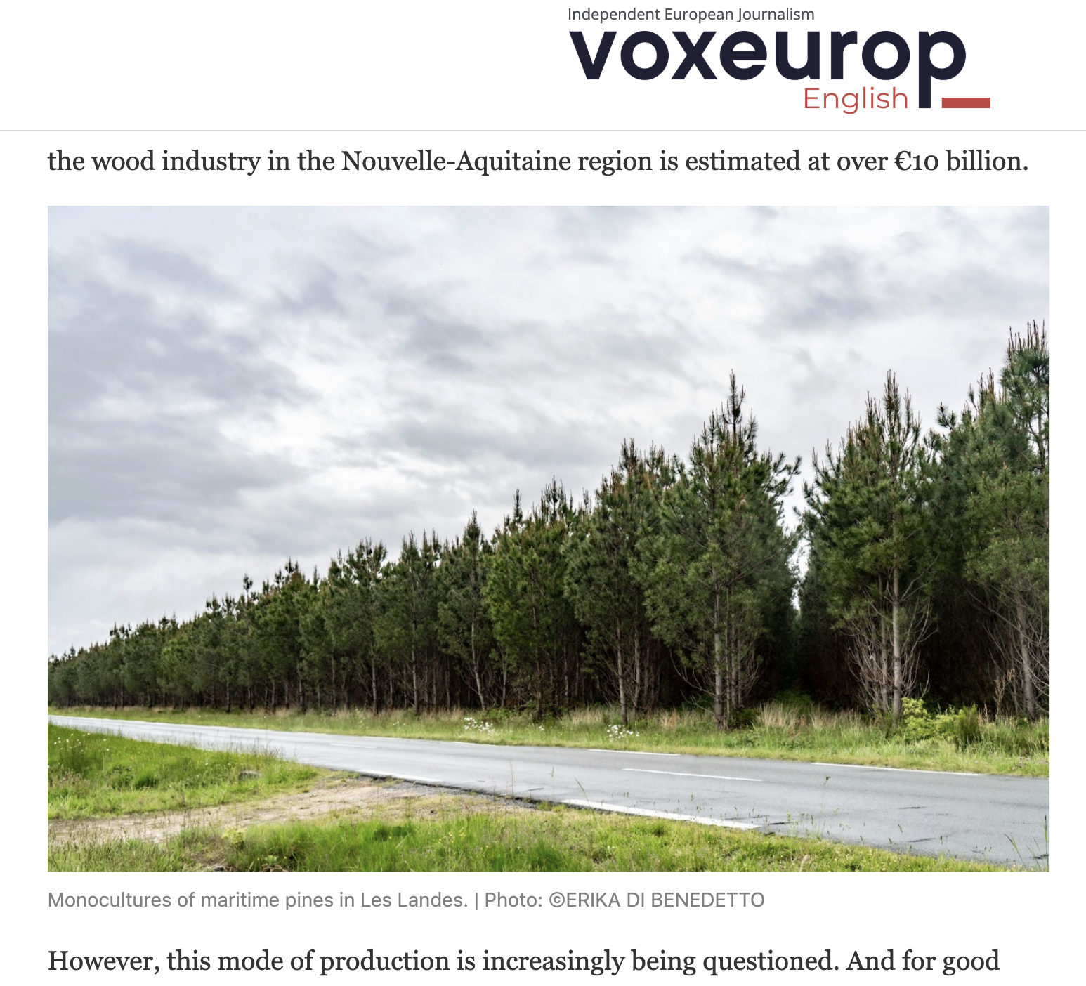 Screenshot 2026-02-09 at 01.48.21.png