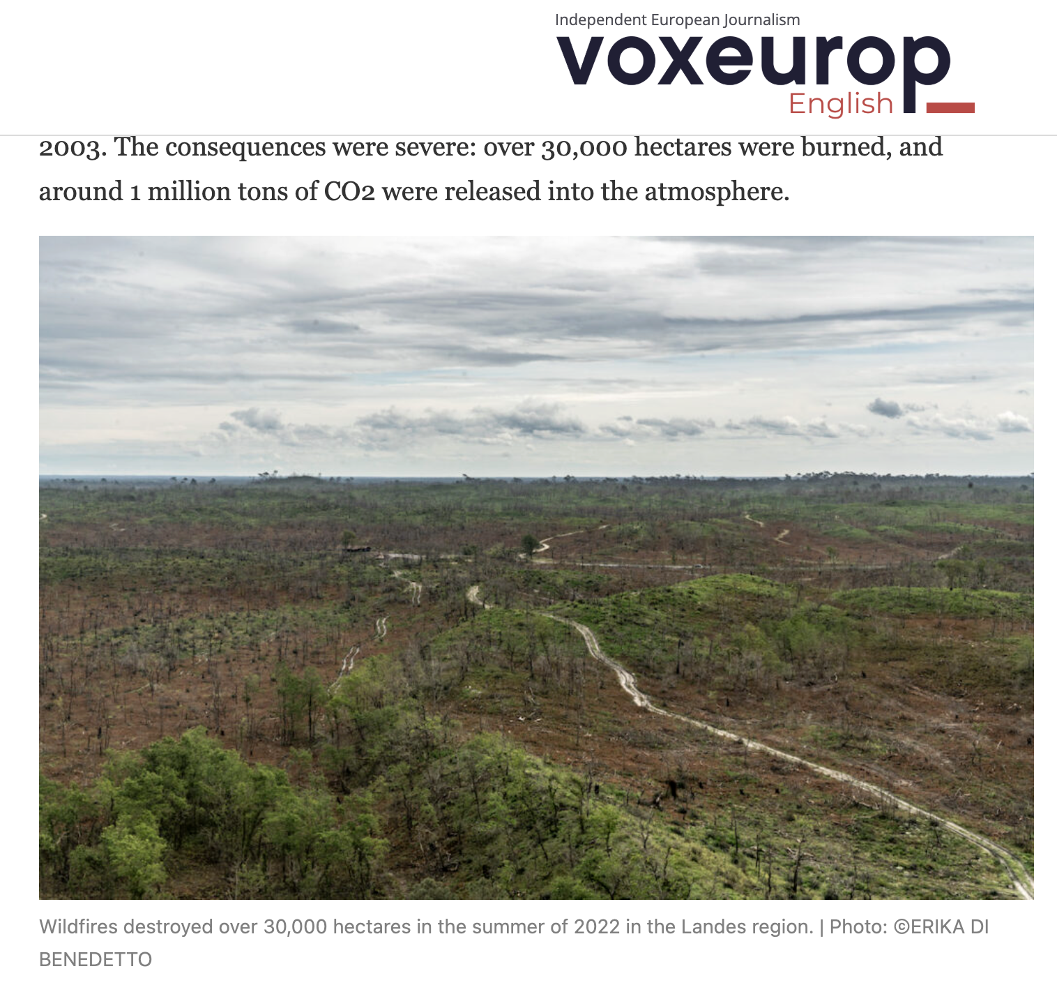 Screenshot 2026-02-09 at 01.48.32.png