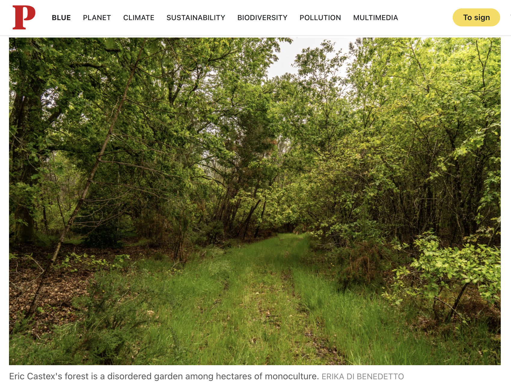 Screenshot 2026-02-09 at 01.54.55.png