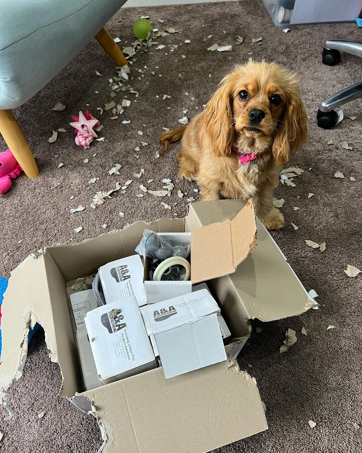We&rsquo;re now expanding our operations to include free document shredding services&hellip;..!!!!!