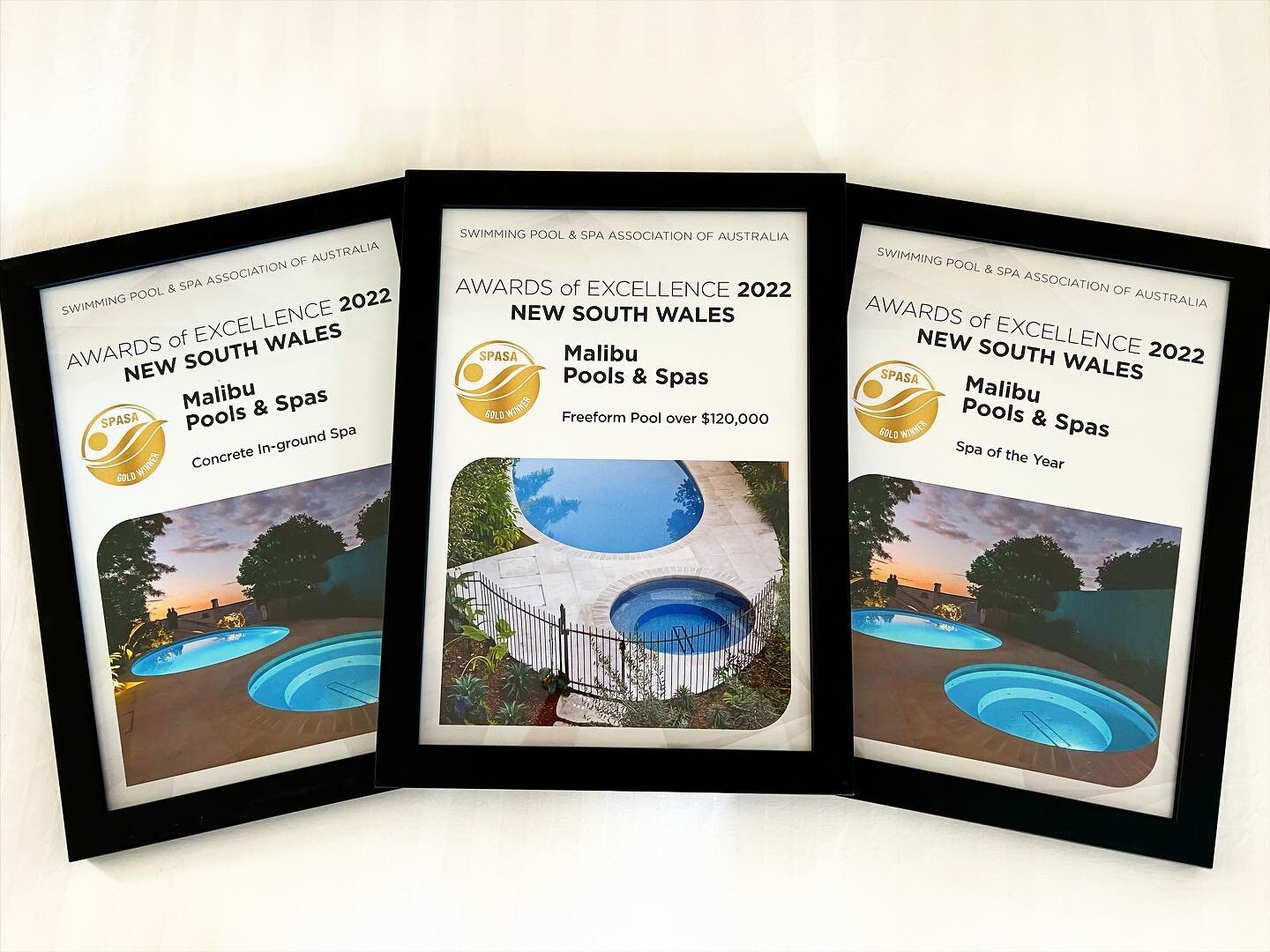 A huge honour after receiving 3 SPASA awards last night for our Paddington project. Thanks again to our great friends @buildability_constructions for getting us involved in the construction of another inspired design by @luigirosselliarchitects