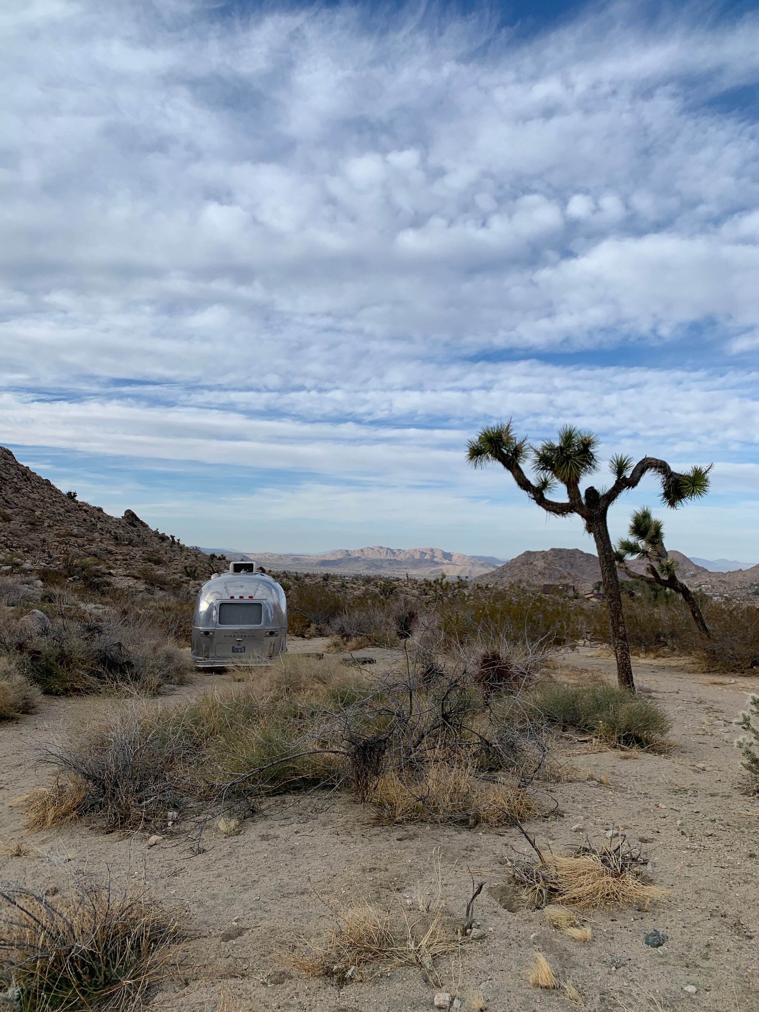 kalyn-fantasia-joshua-tree-california-airstream-toronto-street-photographer.jpeg