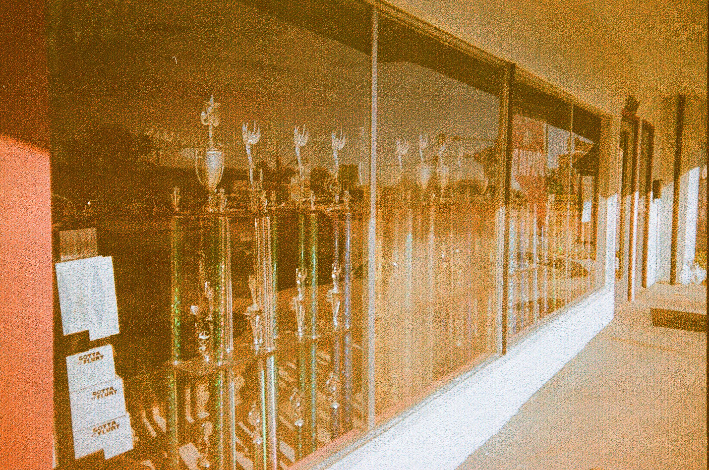 kalyn-fantasia-joshua-tree-trophies-toronto-photographer.png