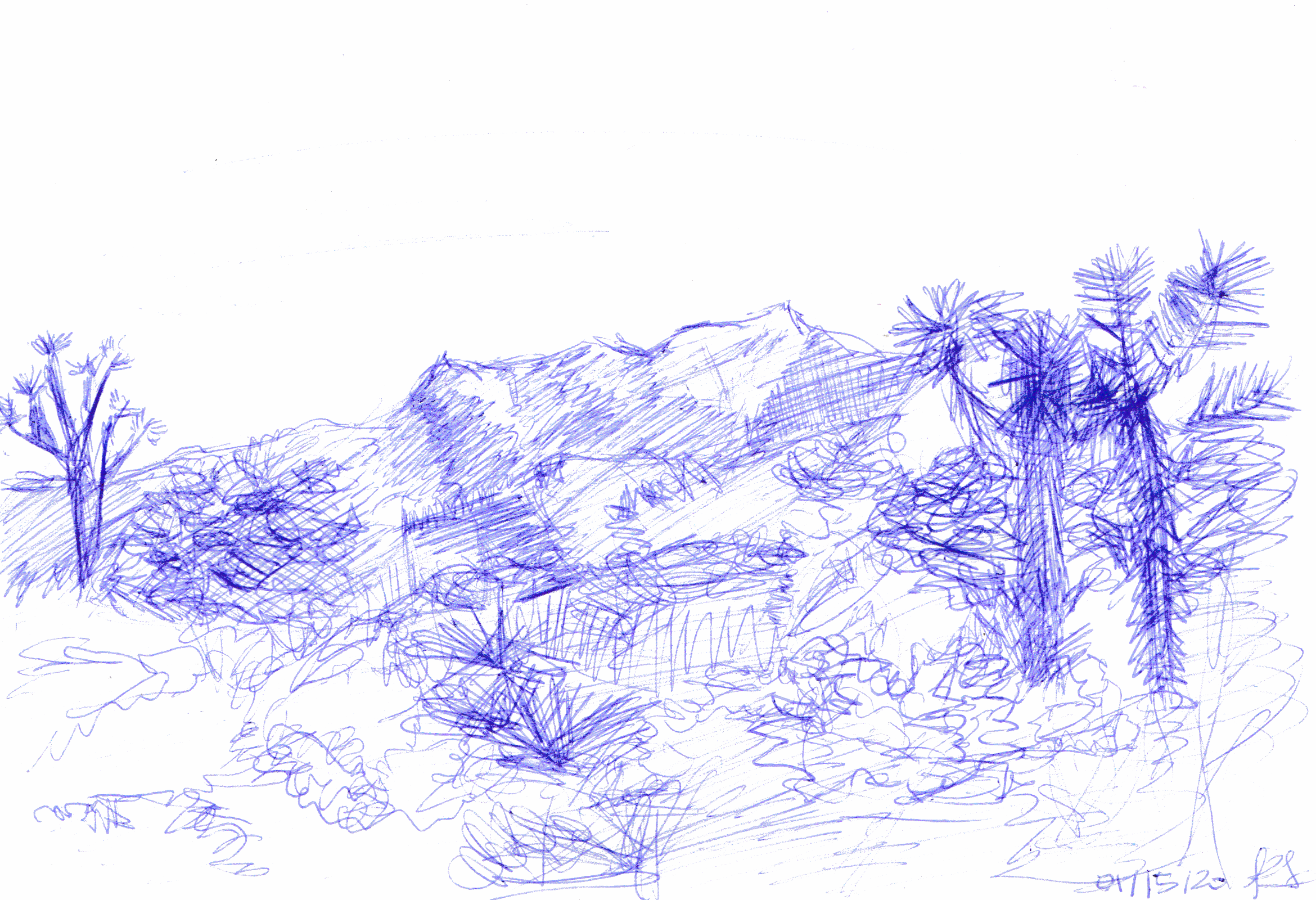 kalyn-fantasia-joshua-tree- illustration.png