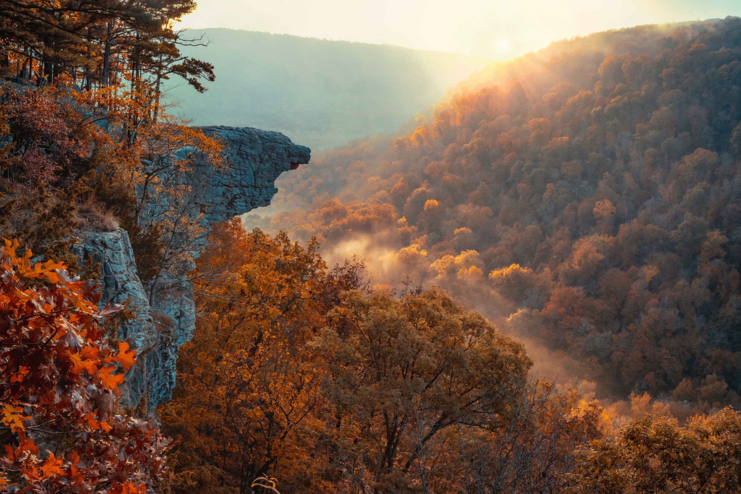 AdobeStock_533197250.jpeg