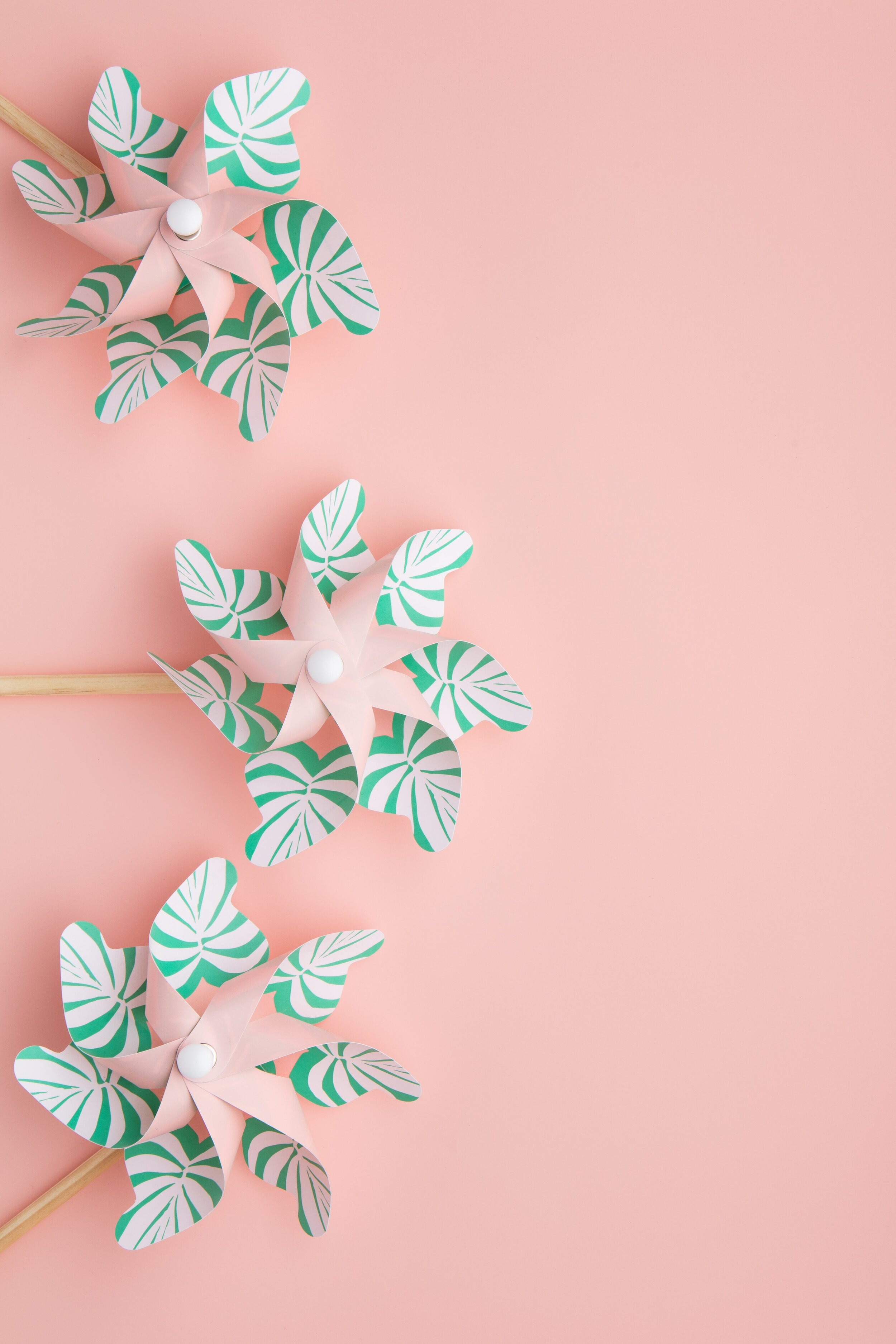 Practice Mindfulness