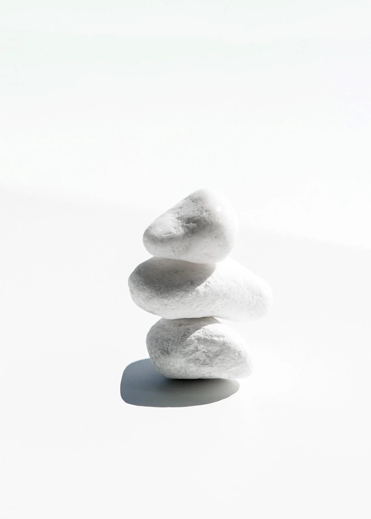 His Faithfulness. Our Joy.