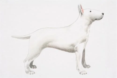 Target Brings Back Bullseye the Dog