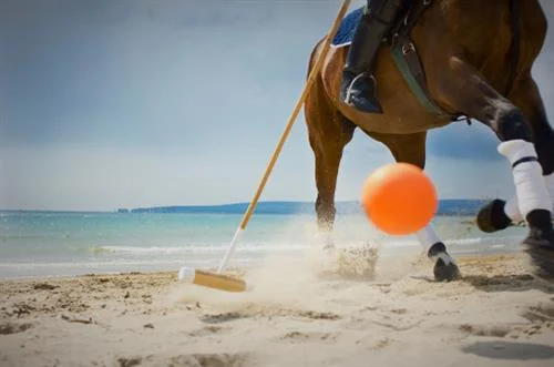Miami Beach Polo World Cup