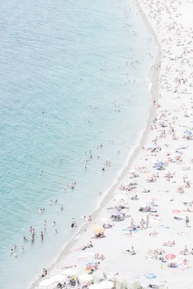 Sea Joy.png