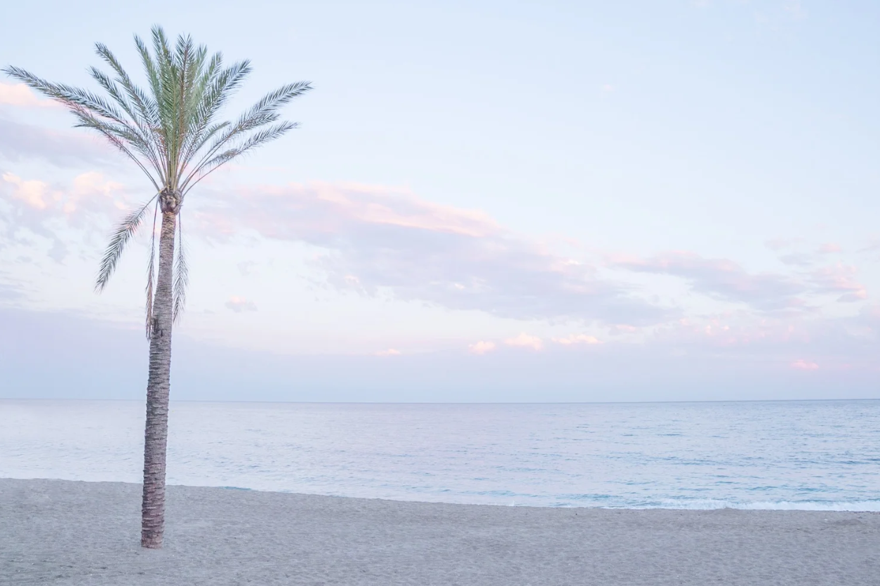 Marbella-Tranquila.png