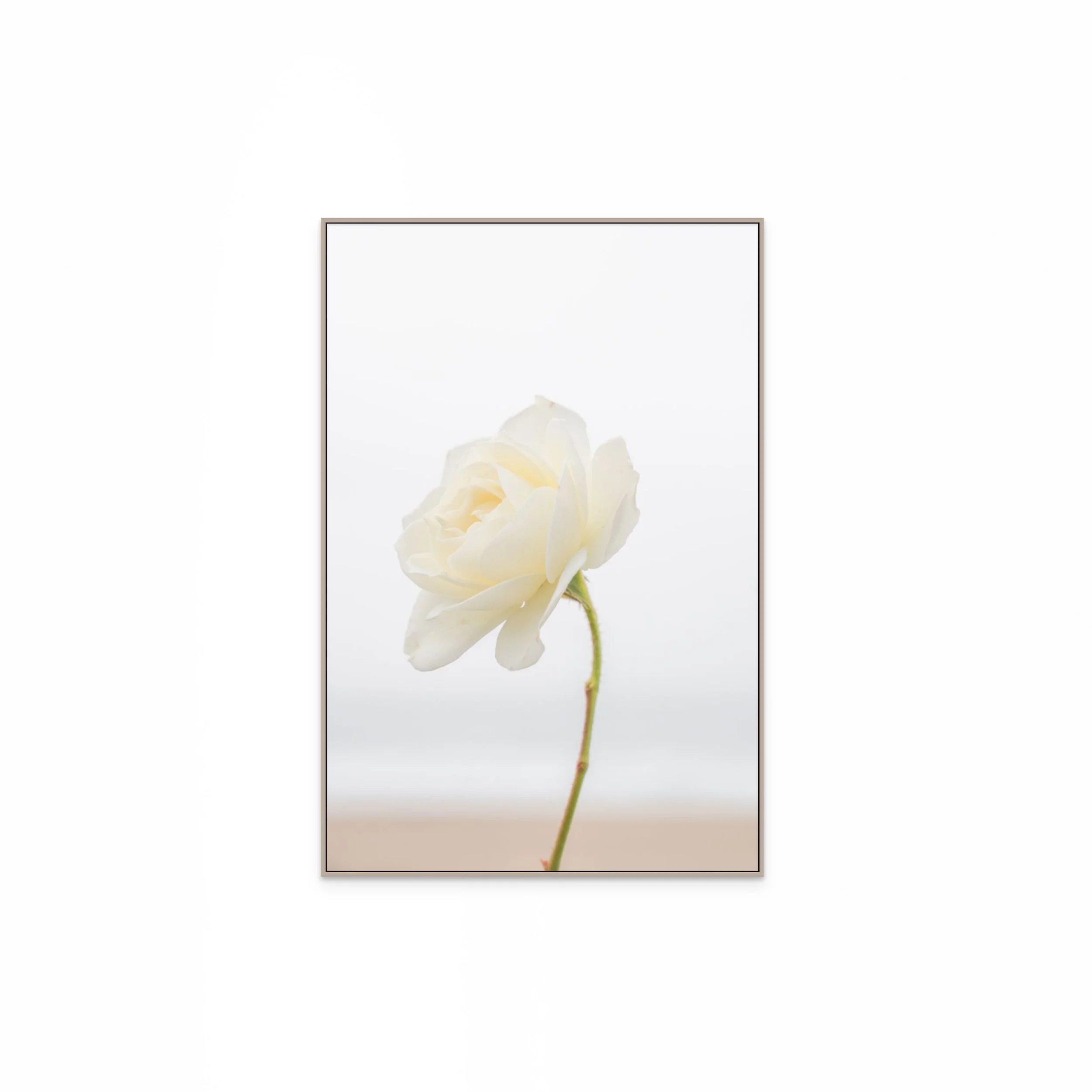 20251111-DSC08506 (2).jpg