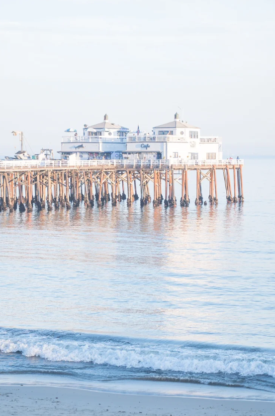 Malibu Delight.png