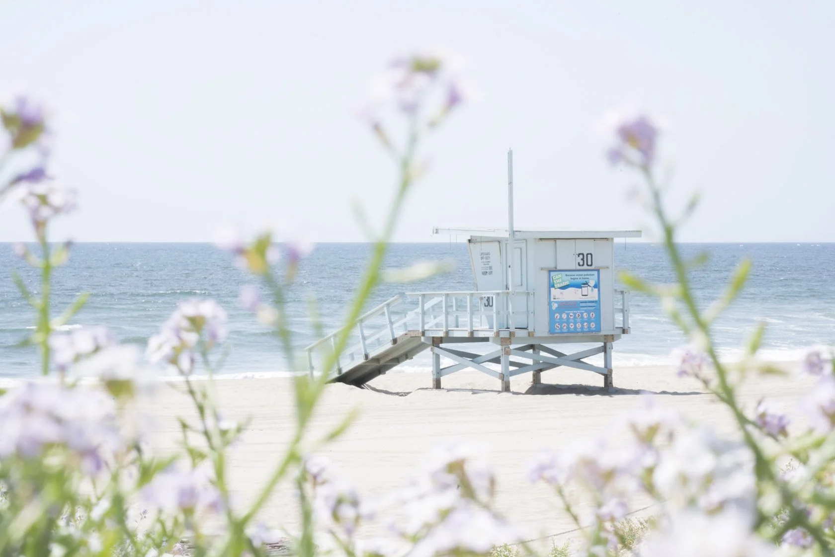 JPG_0020092 copy.JPG