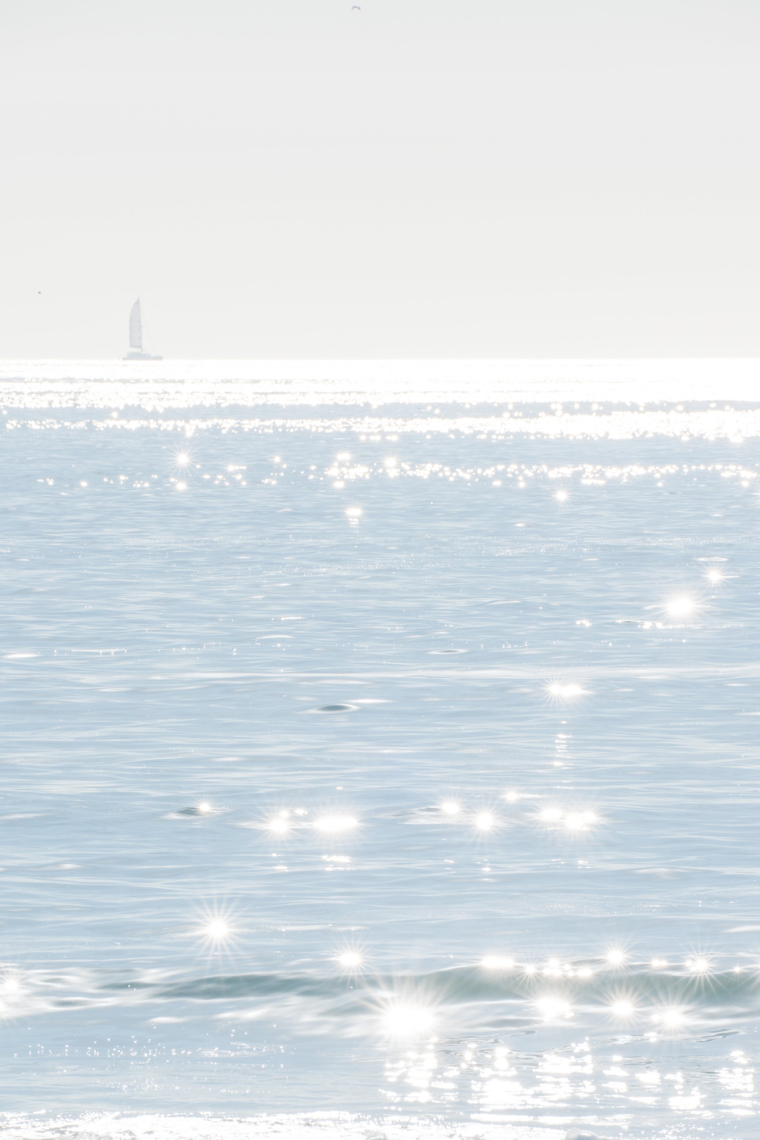 20241020-DSC08875.jpg