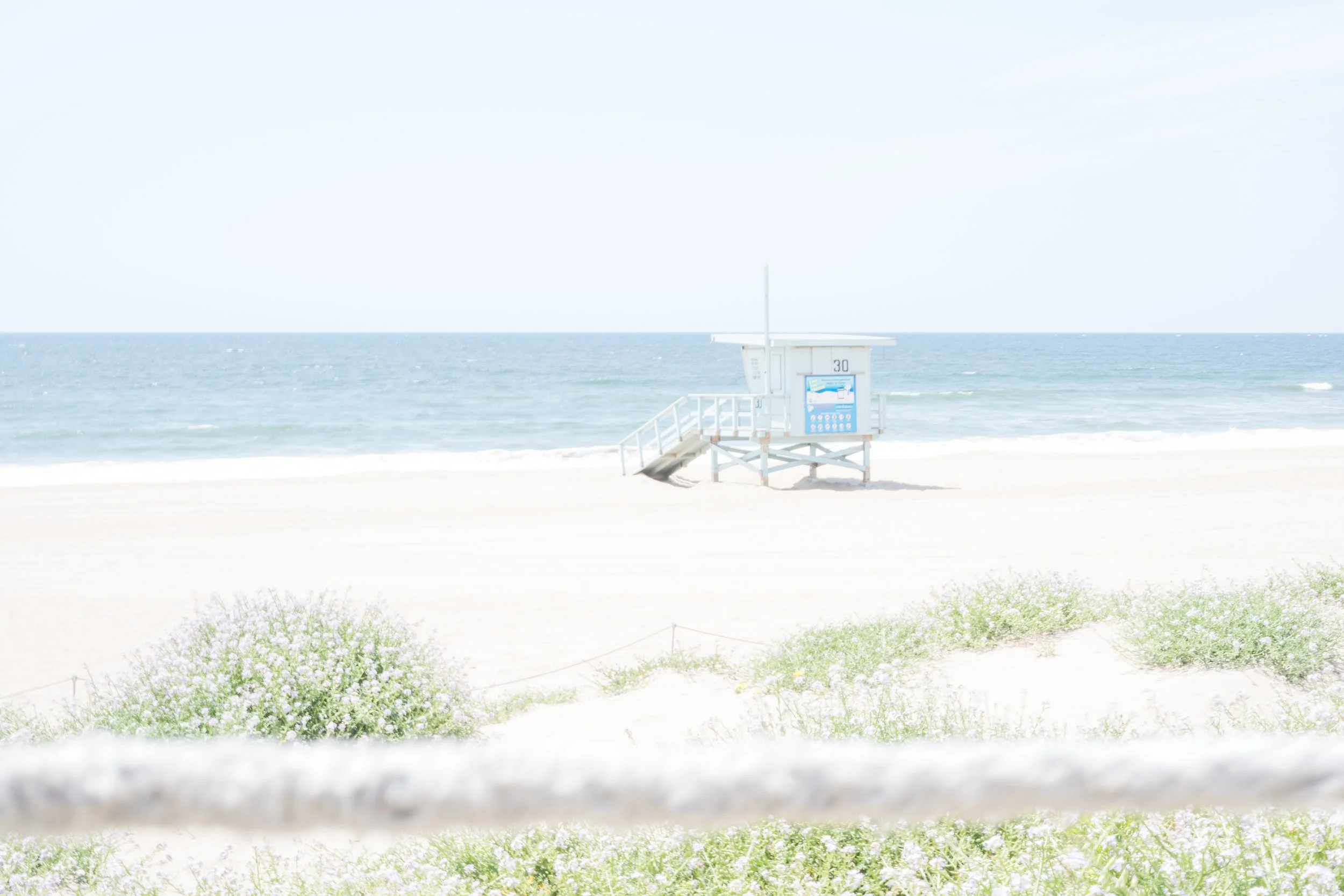 South Bay Life by Jamie Lovelynn.jpg