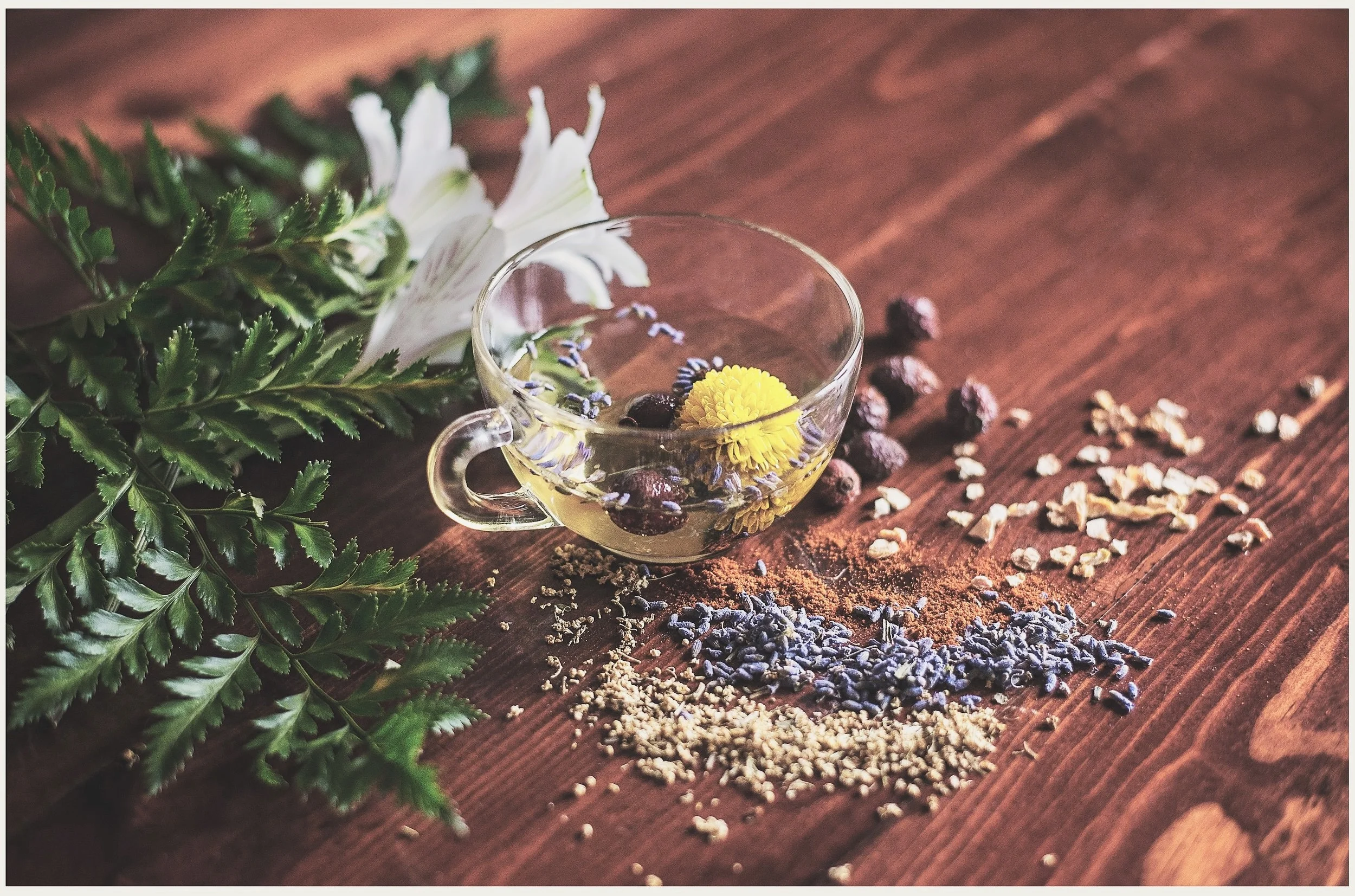 flowers and plants.jpg