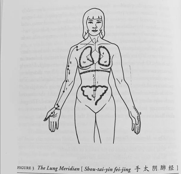 lungmeridian.jpg