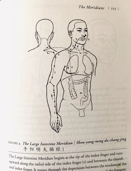 photos from the book: The Web That Has No Weaver, Understanding Chinese Medicine by Ted J. Kaptchuk