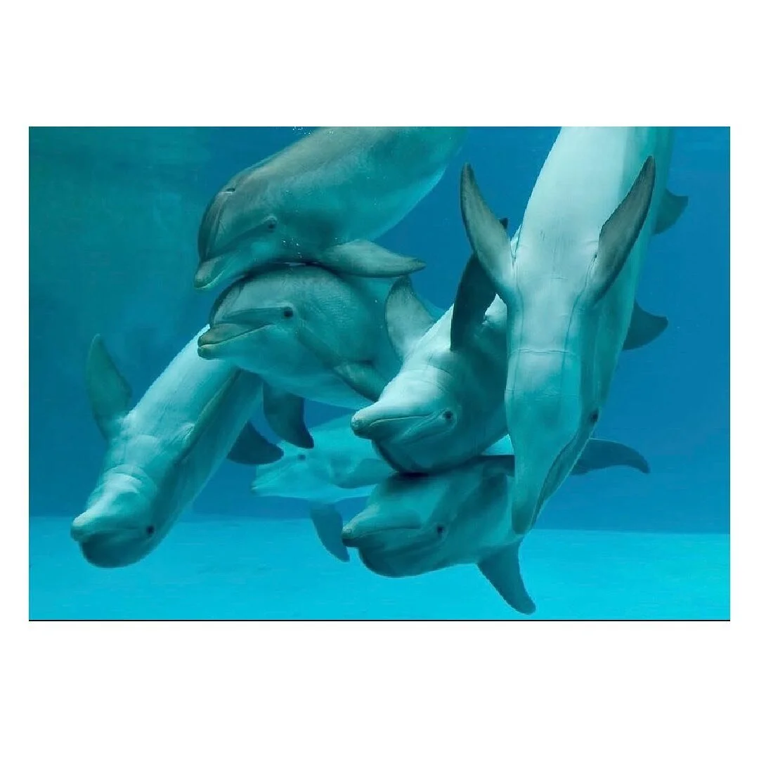 Mercury Neptune conjunction today ✨✨✨✨