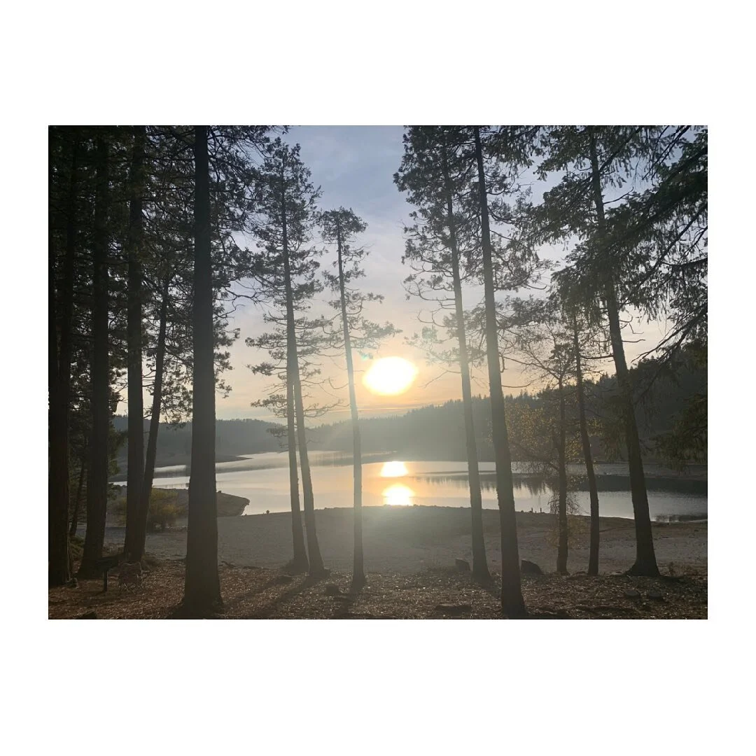 words from @way_of_the_rose

&ldquo;Just as the seed contains the wisdom of the plant it will become, and the acorn contains the oak, your lives with their daily needs and intimate personal concerns are the map of your becoming and the guide to all t