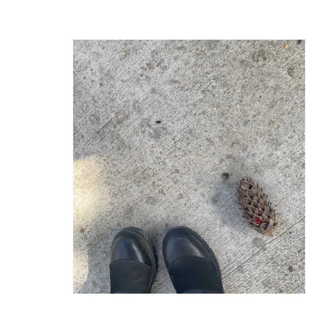 Your perception of something will make that something change. Perceive responsibility. 💜