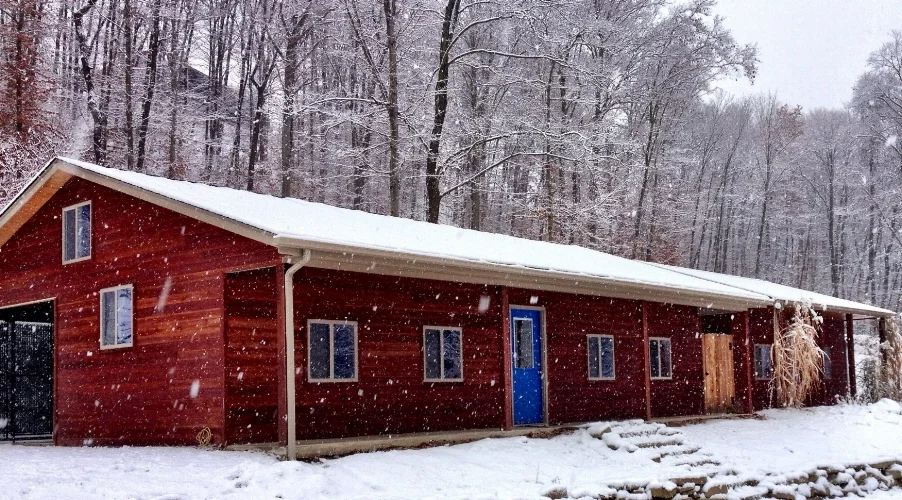canine cottage boarding