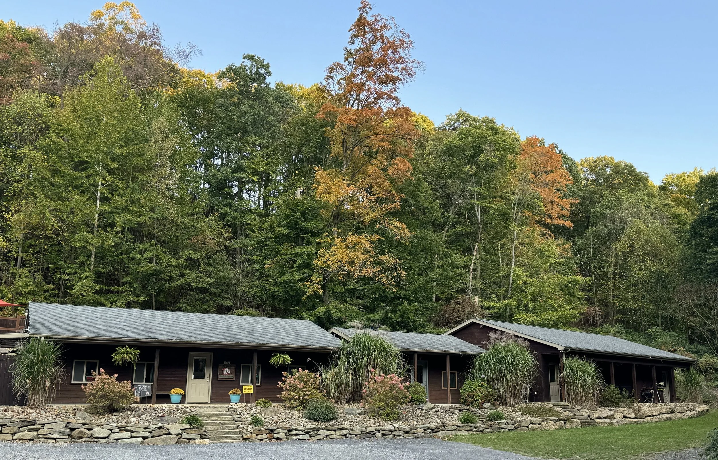 Canine Cabins Dog Boarding Ohio Township PA
