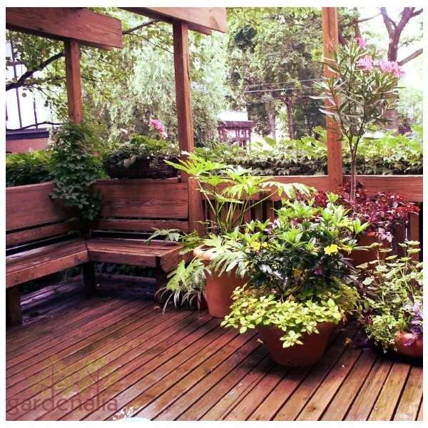 Top Shade Structure Ideas For Your Home
