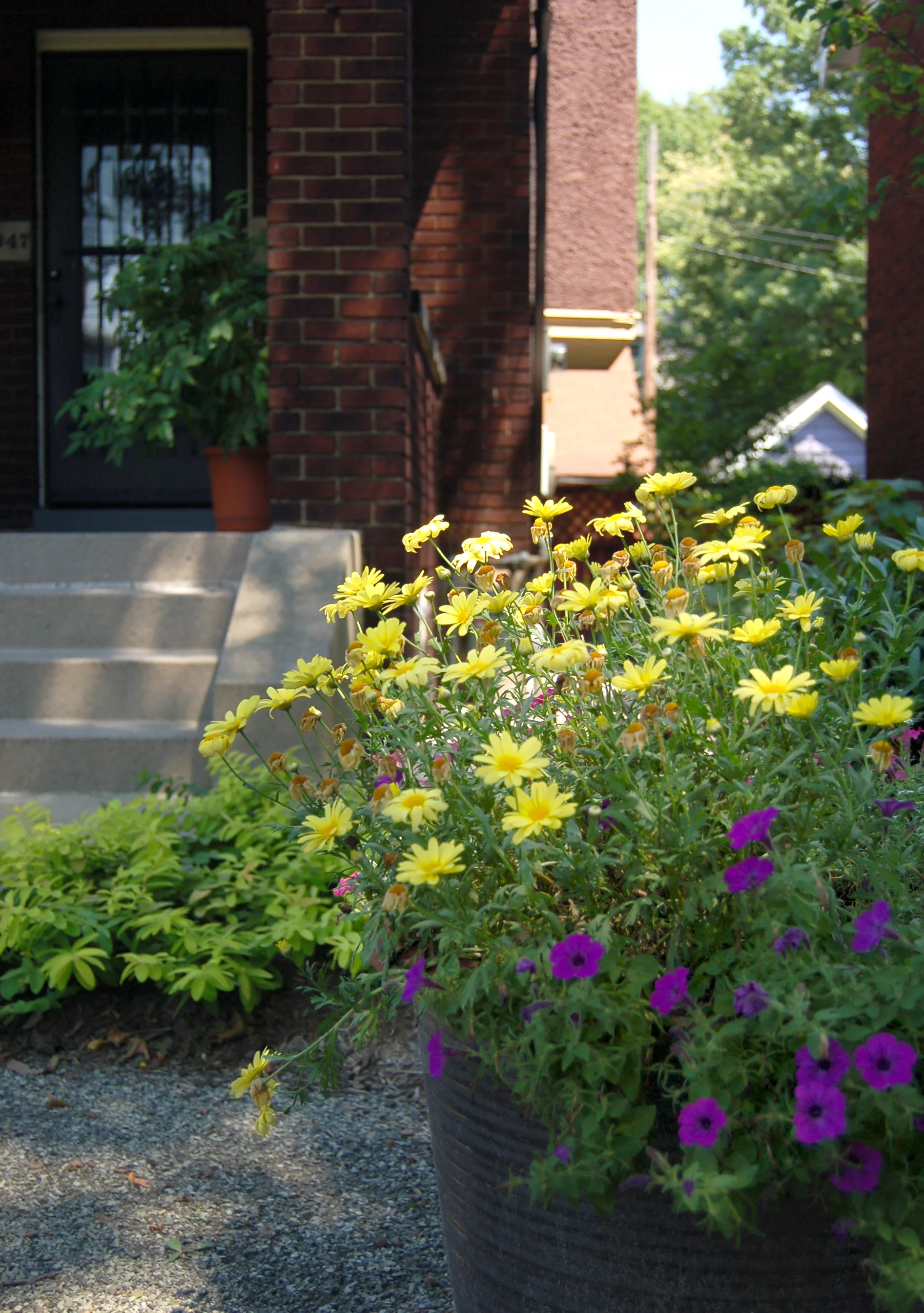 Copy of DSC_0465_4019.JPG