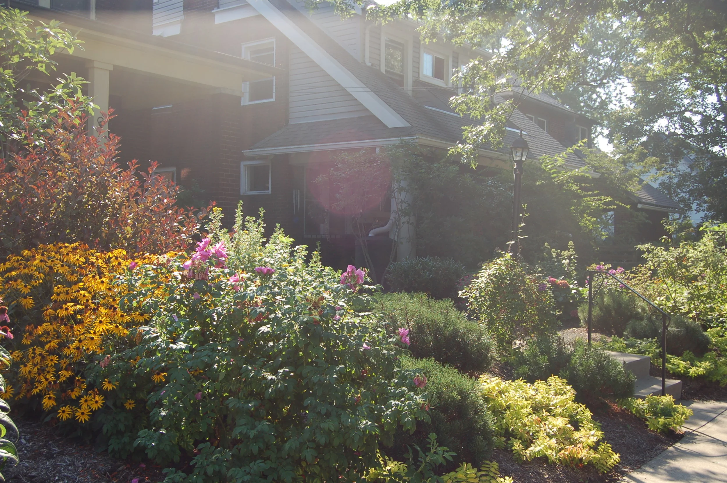 Copy of DSC_0403_4020.JPG