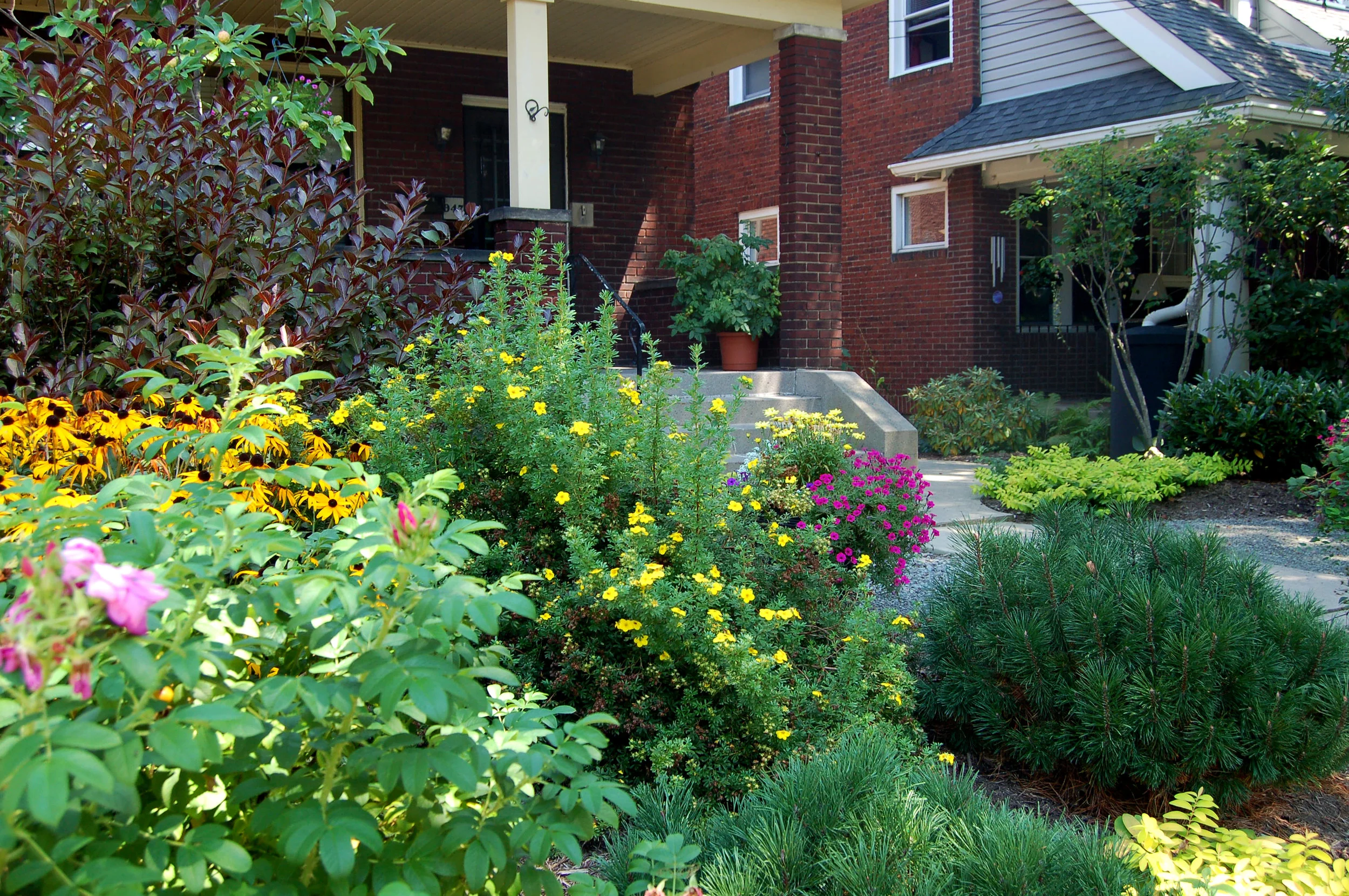 Copy of East End garden.JPG