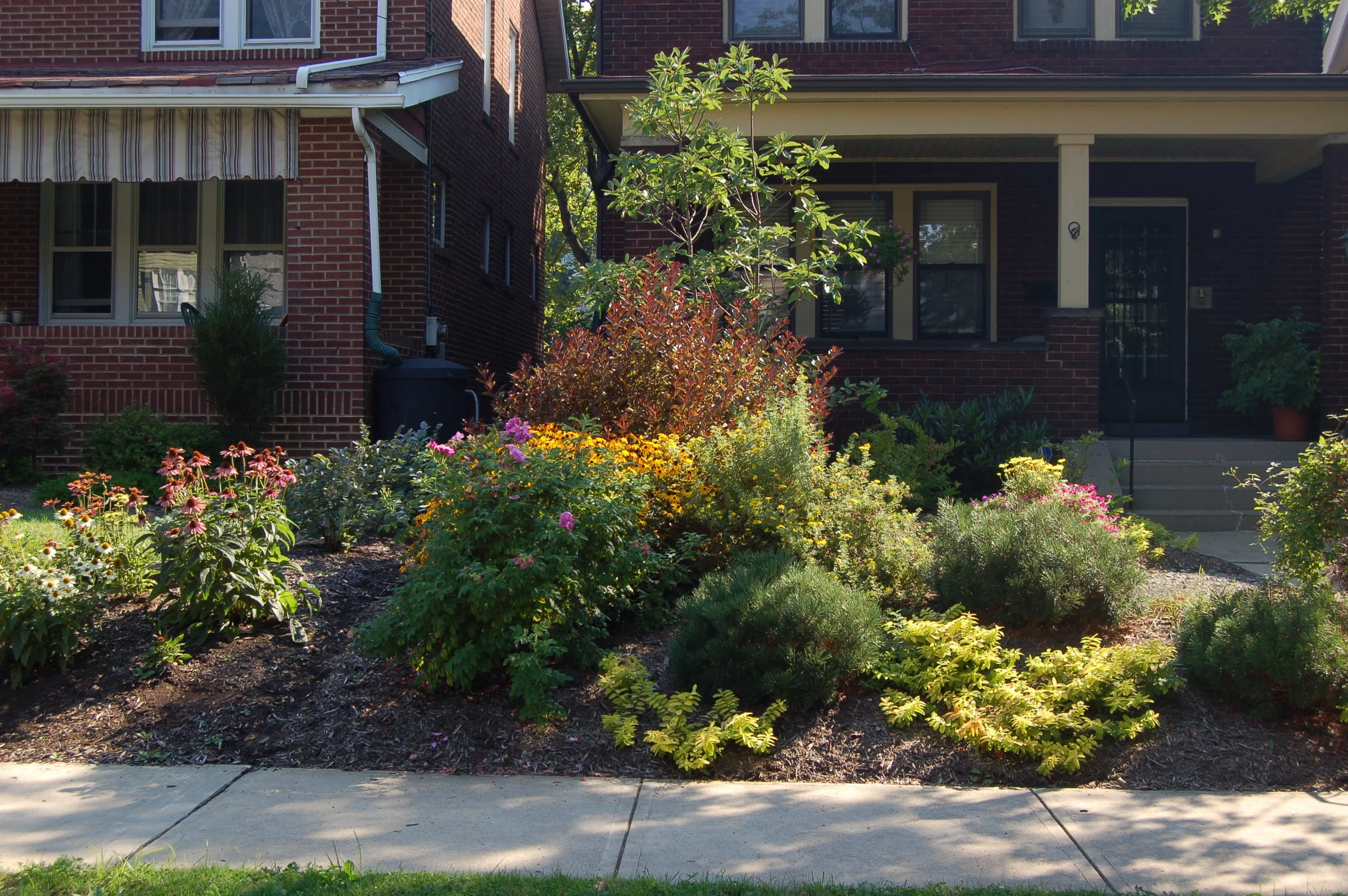 Copy of DSC_0428_4045.JPG