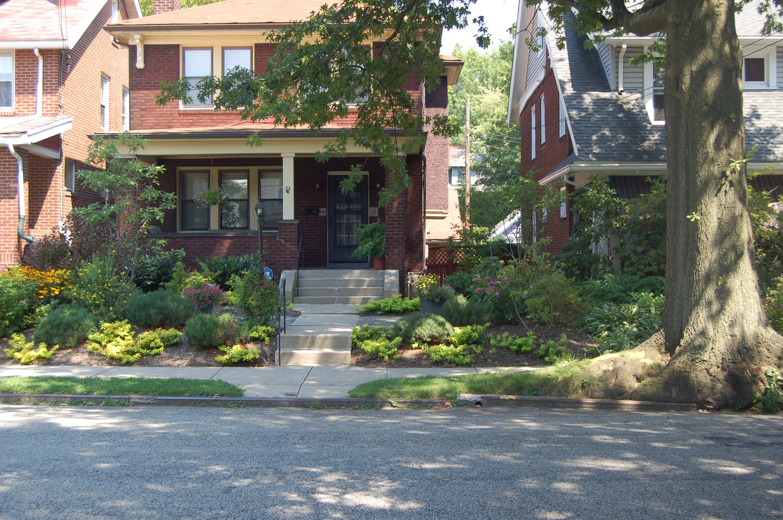 Copy of DSC_0450_4004.JPG