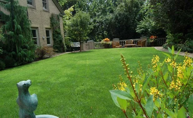 Squirrel Hill Urban Garden - After
