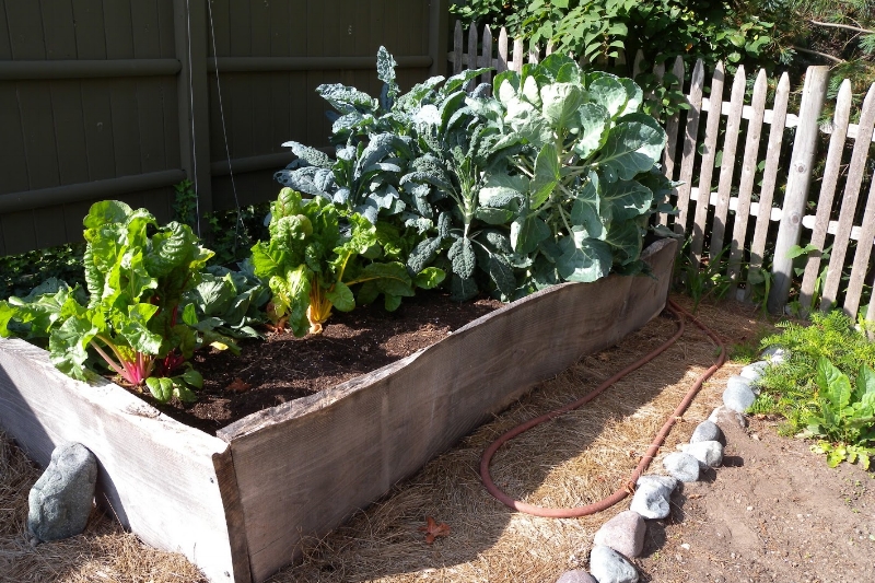 2 Herb Container Garden Ideas We’re In Love With!