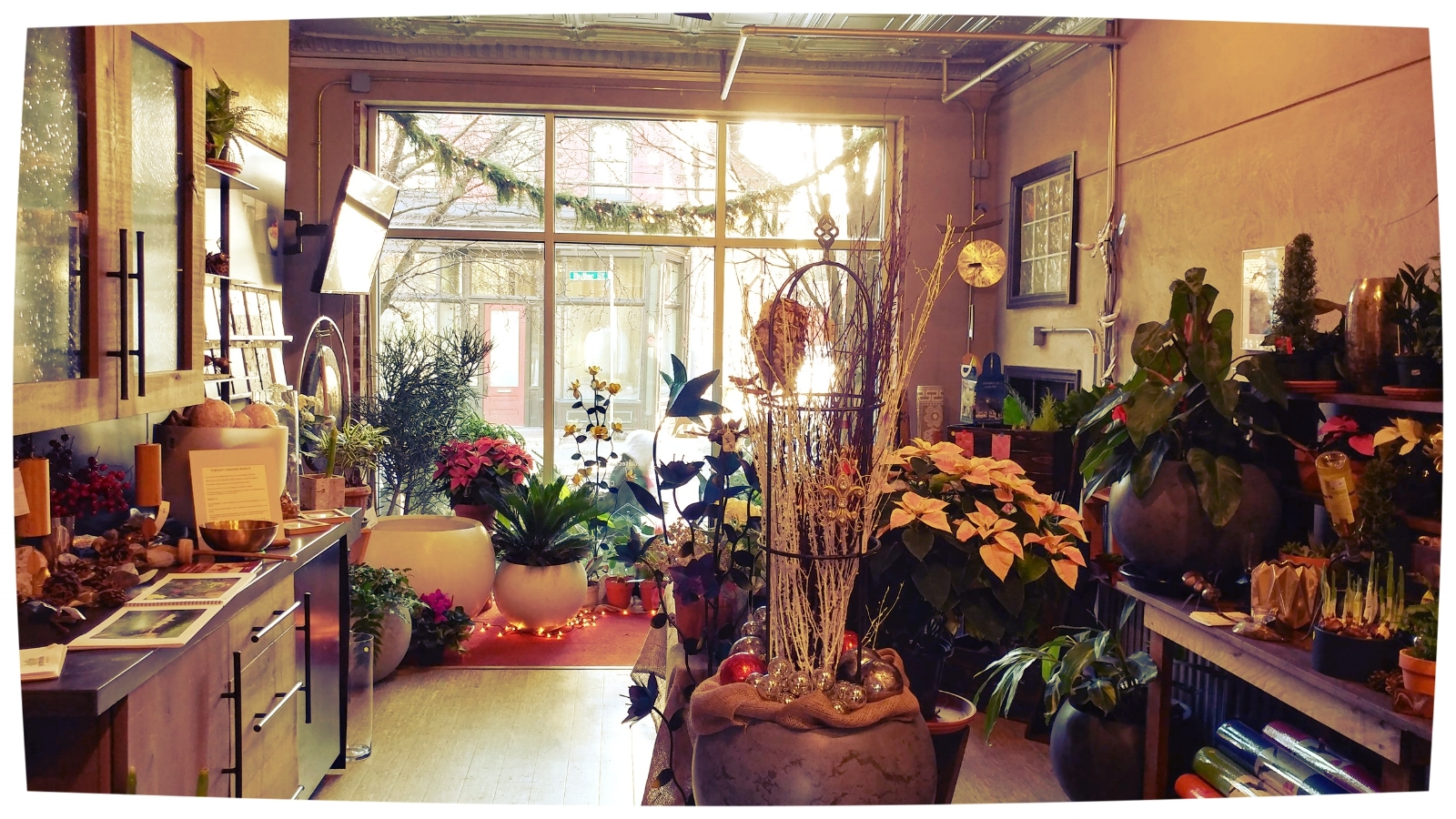 Gardenalia Store Front