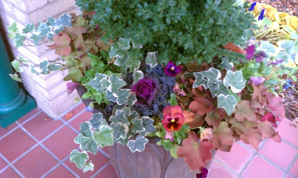Gardenalia Fall